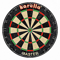 Turnier-Dartboard