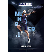 Badminton Lehrbuch
