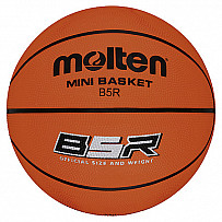 Basketball Molten The Mark