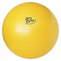 Anti-Burst Gym Ball