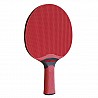 BENZ  table tennis bat Outdoor all weather